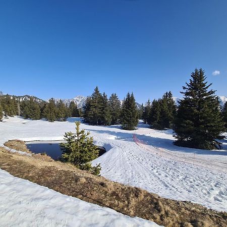 Appartement Au Pied Des Pistes Et Du Park Nordique Chamrousse Zewnętrze zdjęcie